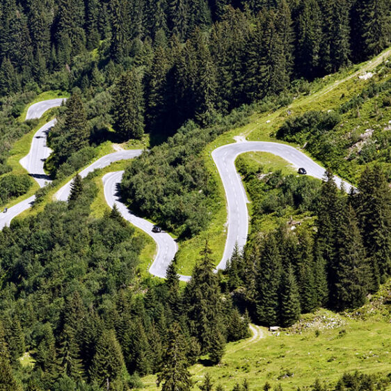 kurvige Straße durch einen Wald
