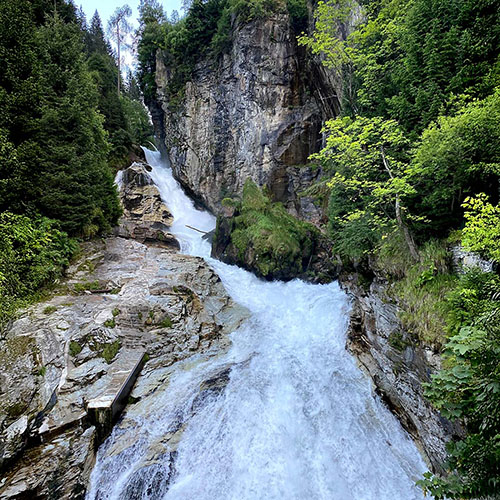 Wasserfall Bad Gastein, rundherum Bäume