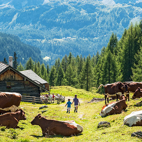 zwei Kinder, Kuhherde bei einer Alm im Wald