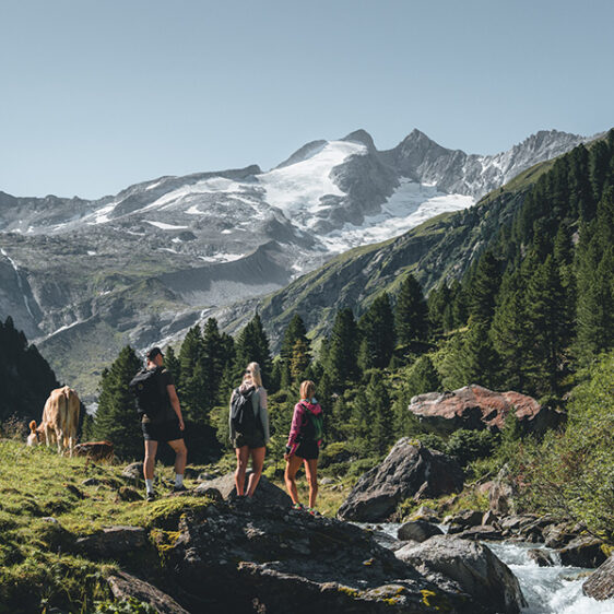 Menschen in den Bergen beim wandern