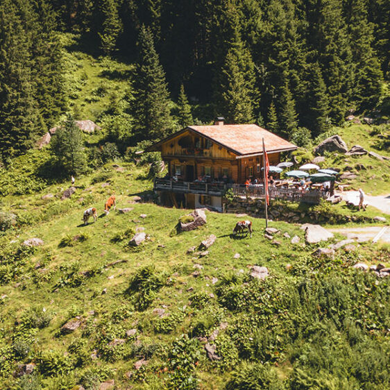 Hütte in den Bergen