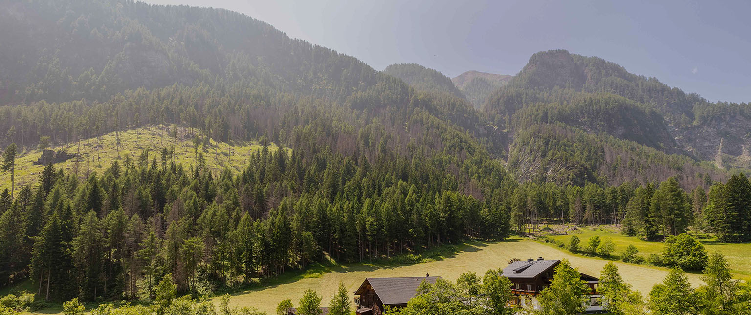 Aussicht auf Berge und Wälder
